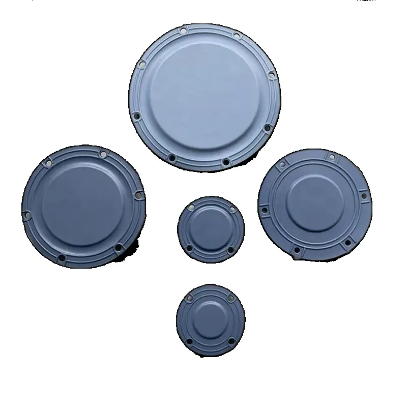 Metering Pump Accessories, Metering Pump Composite Diaphragm
Metering Pump Accessories, Metering Pump Composite Diaphragm