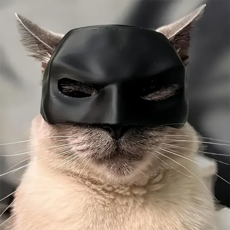 Gift Black Bat Cat Avenger Mask Matte Cool Bat Mask Superhero Cute Pet Toys For Cats And Dogs Crochet cat collar Cute cat collar
Gift Black Bat Cat Avenger Mask Matte Cool Bat Mask Superhero Cute Pet Toys For Cats And Dogs Crochet cat collar Cute cat collar