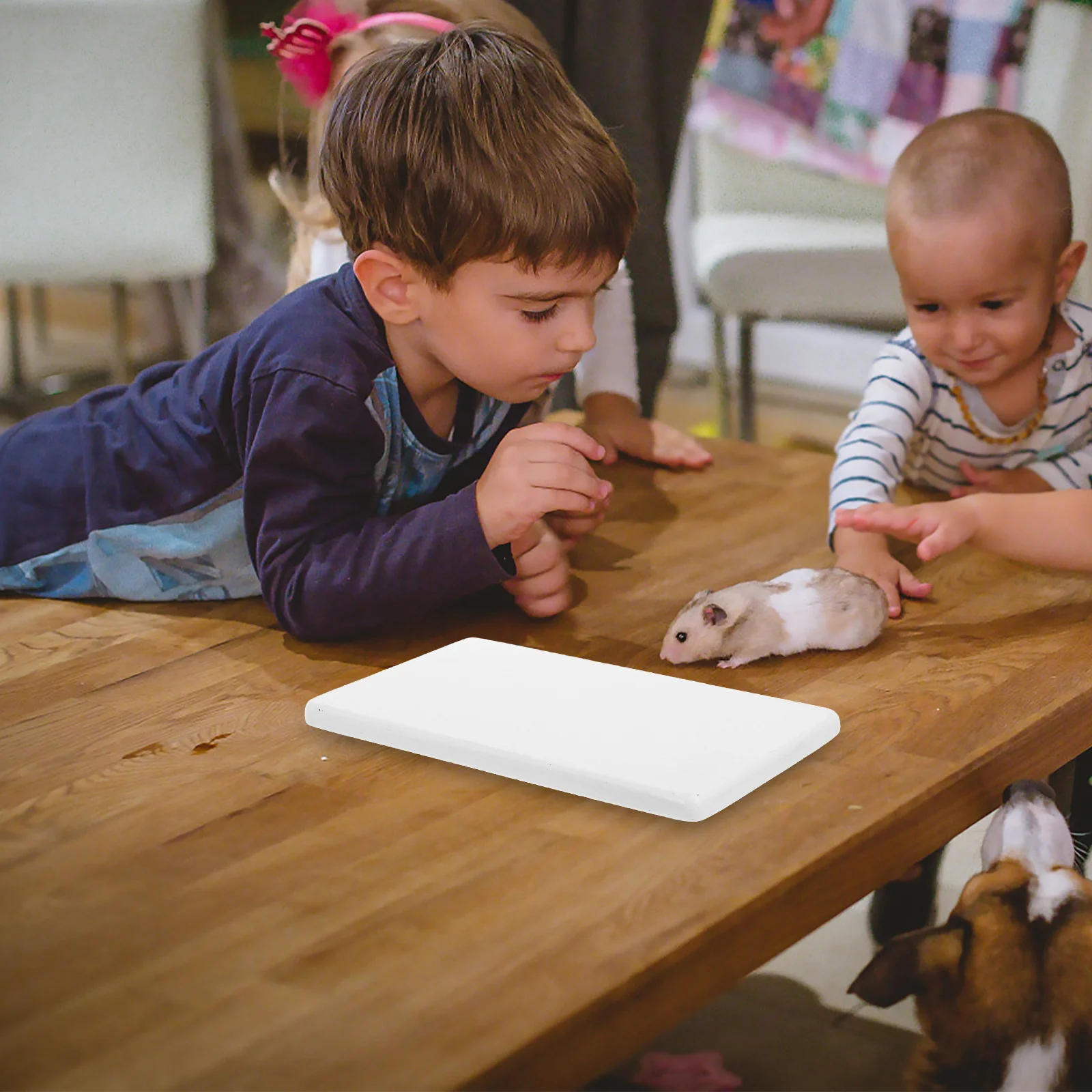 Marble Cooling Pad for Pets Small Animal Summer Mat Rabbits Hamsters Chinchillas Guinea Pigs Easy Clean Smooth Cooling Pad
Marble Cooling Pad for Pets Small Animal Summer Mat Rabbits Hamsters Chinchillas Guinea Pigs Easy Clean Smooth Cooling Pad