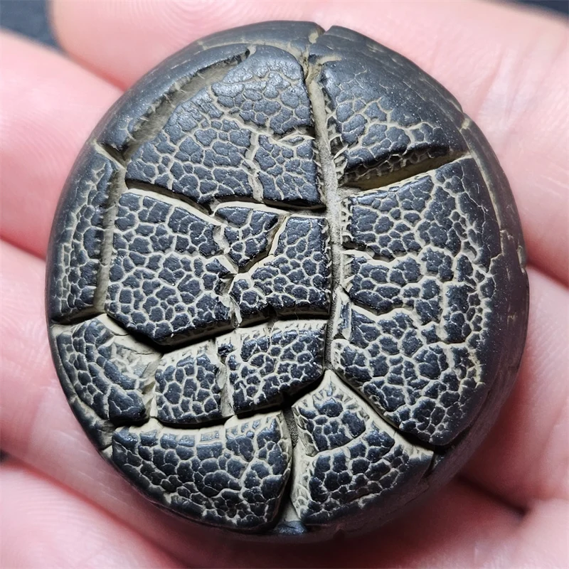 Natural Energy Magic Chakra Stone Palm Toy Mineral Specimen Teaching Home Decoration
Natural Energy Magic Chakra Stone Palm Toy Mineral Specimen Teaching Home Decoration