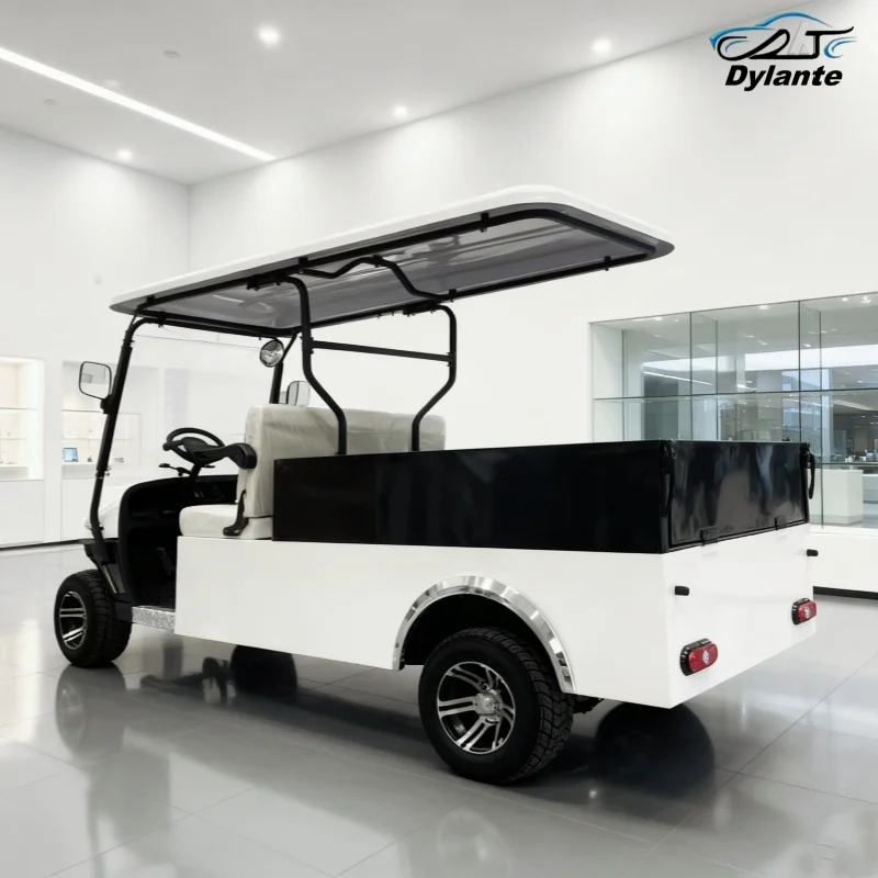 New Tourist Golf Carts 2 Seat Street Legal Electric Golf Cart Lithium Battery Golf Car Off Road Beach Buggy With Rear Cargo Box
New Tourist Golf Carts 2 Seat Street Legal Electric Golf Cart Lithium Battery Golf Car Off Road Beach Buggy With Rear Cargo Box