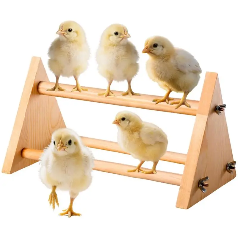 LLCS-Durable Heavy Duty For Coop Chicken Perch-Poultry Roosting Bar In Natural Wood-Chicken For Coop Accessories
LLCS-Durable Heavy Duty For Coop Chicken Perch-Poultry Roosting Bar In Natural Wood-Chicken For Coop Accessories