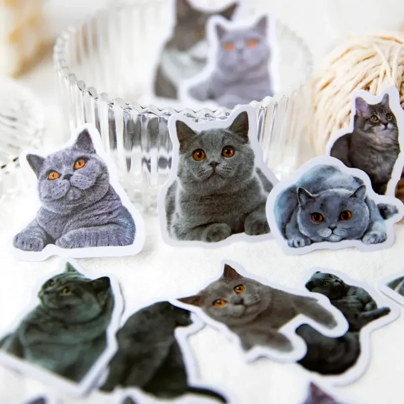 30 PCS Cat Action Series Sulfuric Paper Sticker Pack Vintage Journal DIY Decoration Sticker Supplies 6 Styles cute stickers
30 PCS Cat Action Series Sulfuric Paper Sticker Pack Vintage Journal DIY Decoration Sticker Supplies 6 Styles cute stickers