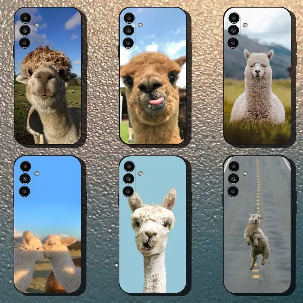 Lama Llama Alpaca Phone Case For Samsung Galaxy A13,A21s,A22,A31,A32,A52,A53,A71,A80,Soft Black Shell
Lama Llama Alpaca Phone Case For Samsung Galaxy A13,A21s,A22,A31,A32,A52,A53,A71,A80,Soft Black Shell