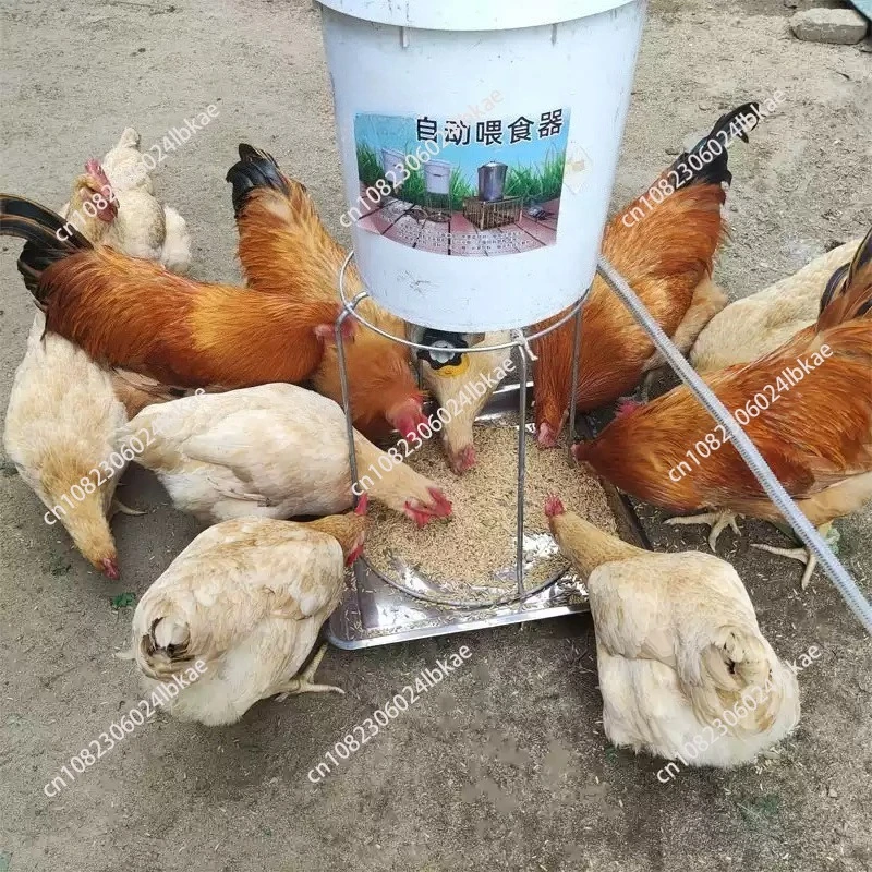 Automatic Timing Chicken Pigeon Feeder 220V, Hopper Projectile Feed Machine for Bird Cage
Automatic Timing Chicken Pigeon Feeder 220V, Hopper Projectile Feed Machine for Bird Cage