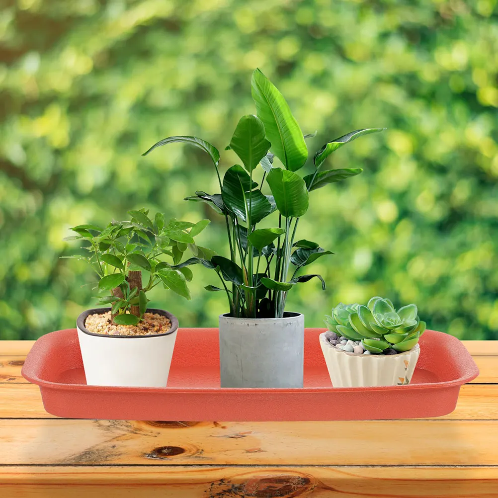 2Pcs Rectangular Plant Trays for Pots No Holes Bottom Saucer Prevents Spills Garden Indoor Planter Drip Catcher Plastic Tray
2Pcs Rectangular Plant Trays for Pots No Holes Bottom Saucer Prevents Spills Garden Indoor Planter Drip Catcher Plastic Tray