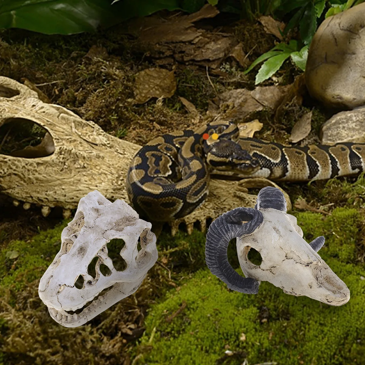 2Pcs Resin Skull Head Bone Ornament for Aquarium Terrarium Decor Smooth No Harm to Fish Microlandscape Gift
2Pcs Resin Skull Head Bone Ornament for Aquarium Terrarium Decor Smooth No Harm to Fish Microlandscape Gift