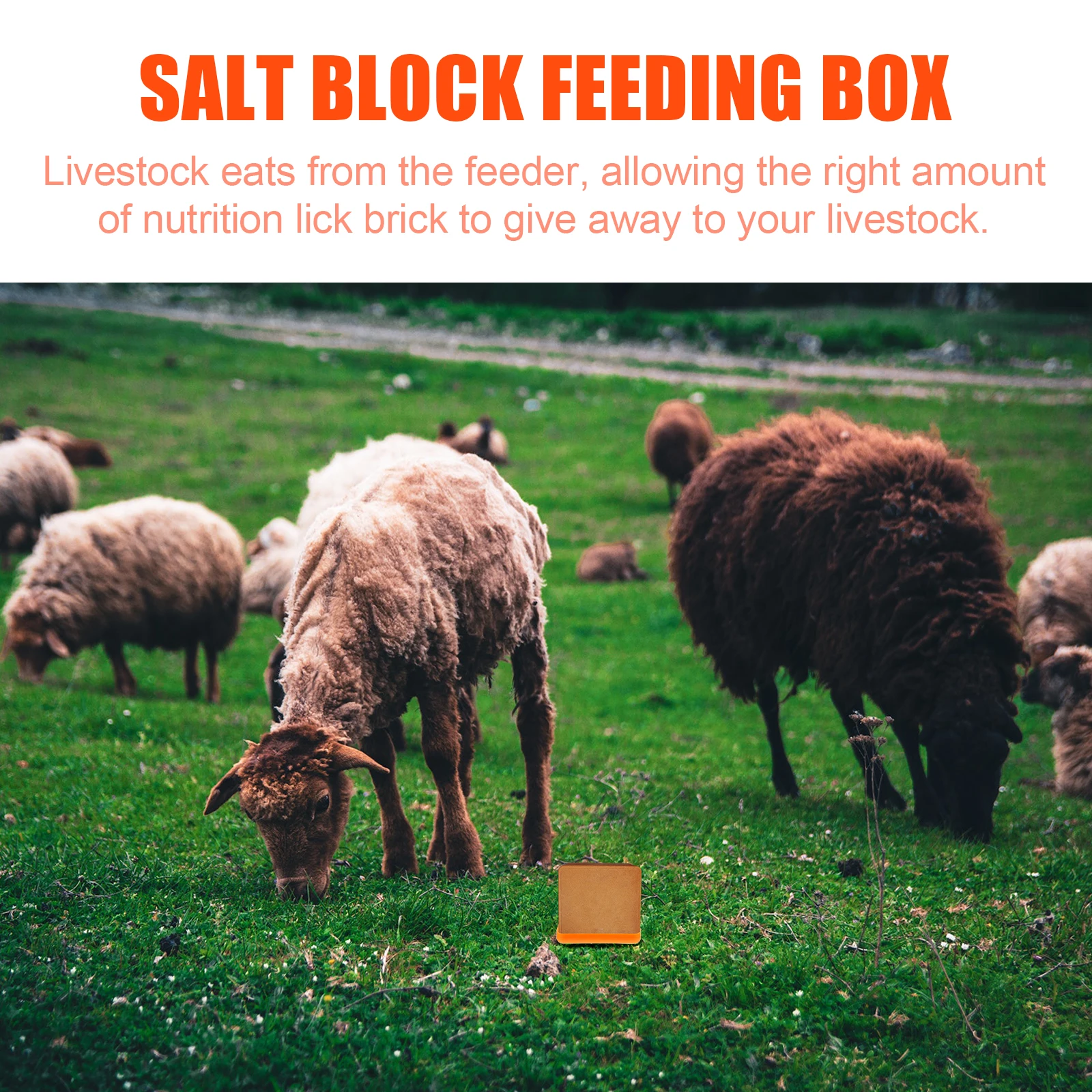 1Pcs Farm Livestock Feeder Cattle Sheep Lick Brick Holder Dust Free Fodder Storage Pan Animal
1Pcs Farm Livestock Feeder Cattle Sheep Lick Brick Holder Dust Free Fodder Storage Pan Animal