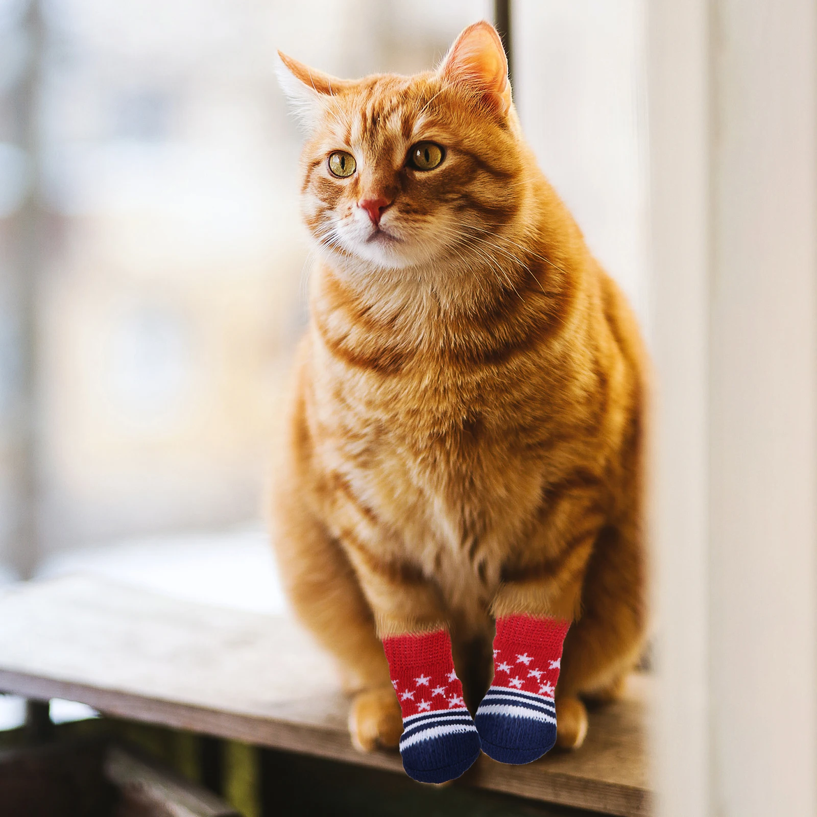 4 Pcs Pet Anti-slip Cotton Socks Foot Paw Protectors Strap Dog Stockings for Pets Cloth Footwear Accessories Cute
4 Pcs Pet Anti-slip Cotton Socks Foot Paw Protectors Strap Dog Stockings for Pets Cloth Footwear Accessories Cute