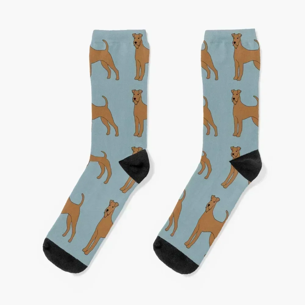 Irish Terrier Socks new year summer Heating sock short Socks For Man Women's
Irish Terrier Socks new year summer Heating sock short Socks For Man Women's