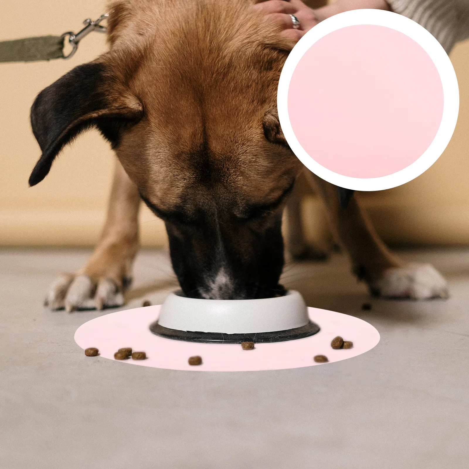 1Pcs Waterproof Silicone Pet Placemat Round Shape Leakproof Feeding Pad Heat Insulated Dog Food Mat Pink Silicone Placemat
1Pcs Waterproof Silicone Pet Placemat Round Shape Leakproof Feeding Pad Heat Insulated Dog Food Mat Pink Silicone Placemat