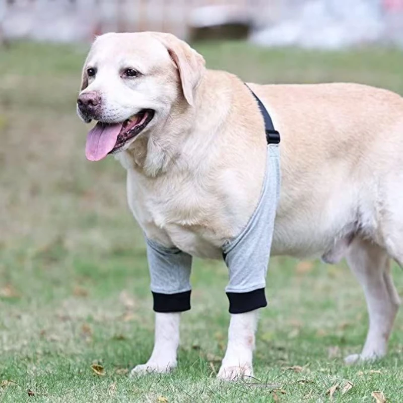 Dog Injury Protective Cover Leg Pads Knee Pad Pet Protective Gear Postoperative Anti-licking Sleeve Joint Cold Protection Elbow
Dog Injury Protective Cover Leg Pads Knee Pad Pet Protective Gear Postoperative Anti-licking Sleeve Joint Cold Protection Elbow