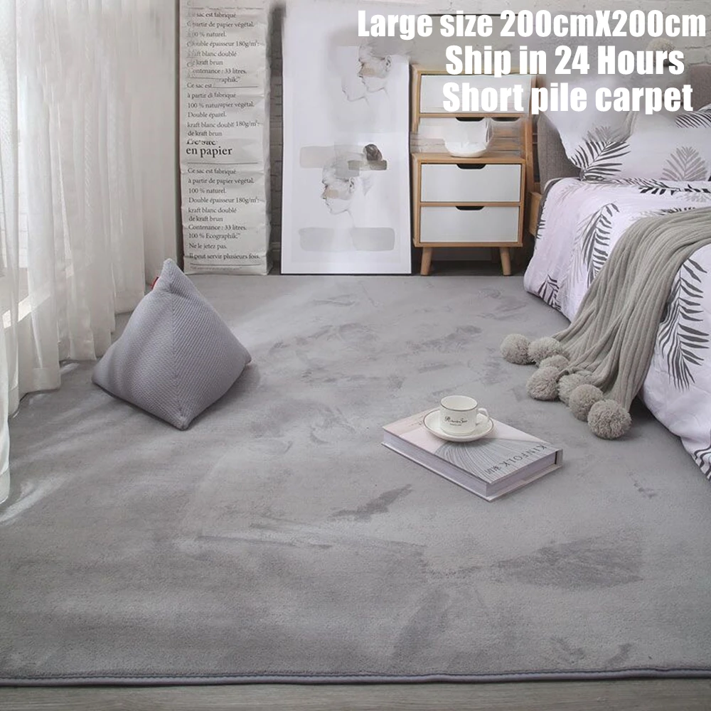 2023 Large Fluffy Nordic Coral Velvet Rug Carpets for Living Room Soft Home Decor Bedroom Kid Room Plush Decoration Salon Carpet
2023 Large Fluffy Nordic Coral Velvet Rug Carpets for Living Room Soft Home Decor Bedroom Kid Room Plush Decoration Salon Carpet