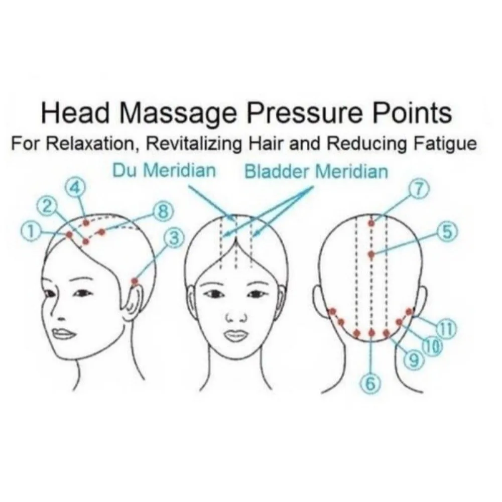 Stainless Steel Wire Head Massager Muscle Tension Relief Octopus Shaped Scalp Massager Scratch Tool Octopus Head Massager
Stainless Steel Wire Head Massager Muscle Tension Relief Octopus Shaped Scalp Massager Scratch Tool Octopus Head Massager