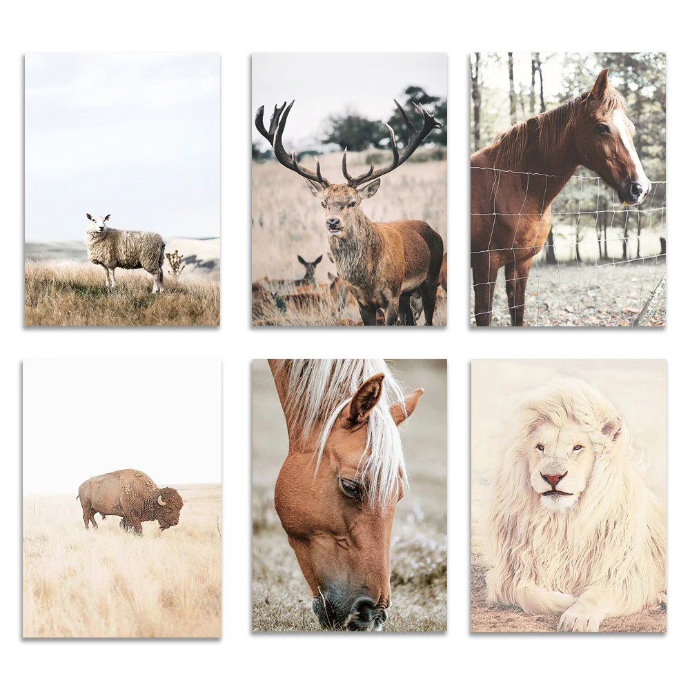 Deer Print,,Lion Art Print,American Buffalo ,Sheep Print, Horse Print, Farmhouse Print, Rustic Poster
Deer Print,,Lion Art Print,American Buffalo ,Sheep Print, Horse Print, Farmhouse Print, Rustic Poster