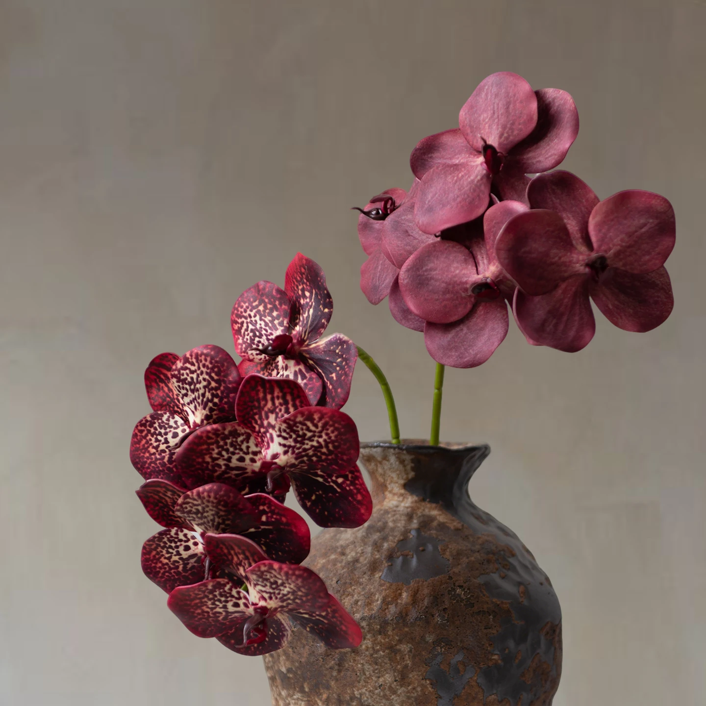 Artificial Hedyotis Flower Decorative Piece for Dining Table Living Room Entrance Hall Fake Flower Orchid Arrangement
Artificial Hedyotis Flower Decorative Piece for Dining Table Living Room Entrance Hall Fake Flower Orchid Arrangement