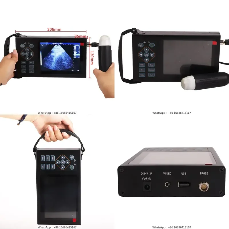 Veterinary Machine Pig Sheep Vet Use Portable Machine
Veterinary Machine Pig Sheep Vet Use Portable Machine