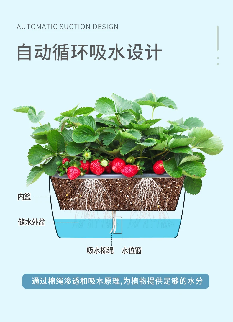 Balcony vegetable planting pot Family vegetable planting pot Special box Self-priming indoor strawberry potted plant Lazy plasti
Balcony vegetable planting pot Family vegetable planting pot Special box Self-priming indoor strawberry potted plant Lazy plasti