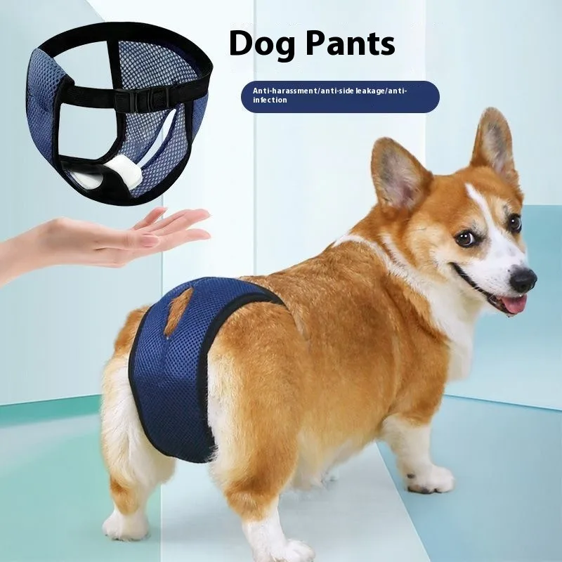 Dog Diapers for Female Heat Period Reusable Washable Puppy Panties Corgi Poodle Pet Incontinence Underwear Protection Training
Dog Diapers for Female Heat Period Reusable Washable Puppy Panties Corgi Poodle Pet Incontinence Underwear Protection Training