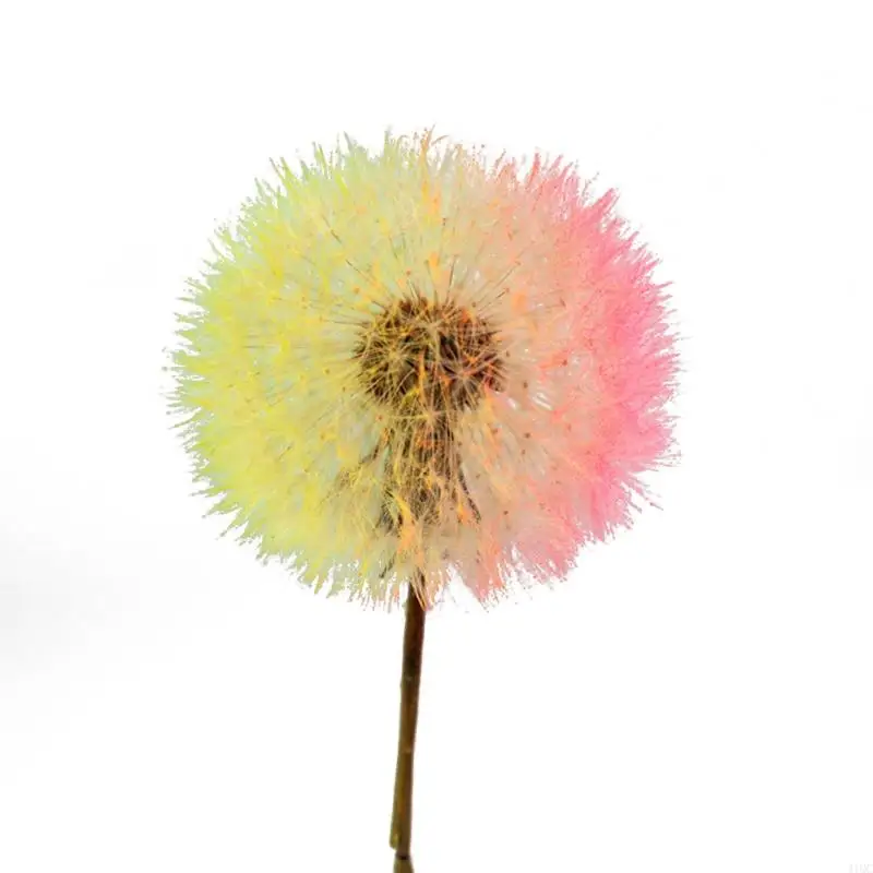 2025 Новая DIY Crafts Crystal Glass Resin Art Light Light Lames Lames Resin Epoxy Casting Flom
2025 Новая DIY Crafts Crystal Glass Resin Art Light Light Lames Lames Resin Epoxy Casting Flom