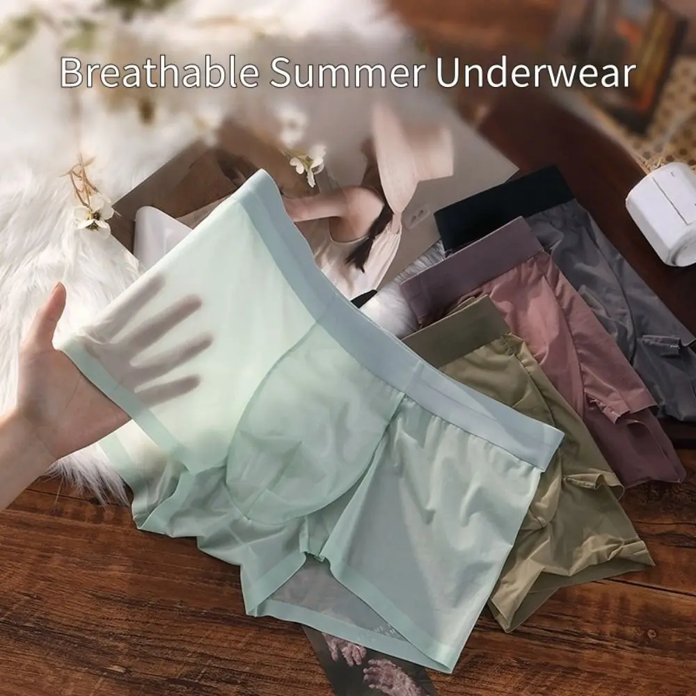 Simple Solid Color Men's Boxer Briefs Ultra-thin Quick Dry Ice Silk Boxers Lingerie Cool Feeling Underwear for Men Daily
Simple Solid Color Men's Boxer Briefs Ultra-thin Quick Dry Ice Silk Boxers Lingerie Cool Feeling Underwear for Men Daily