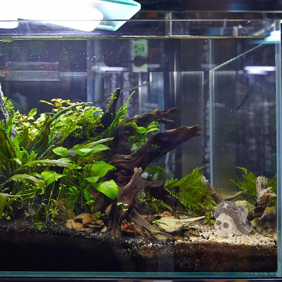 Simulated Pirate Skull Ornament Resin Art Craft Decoration Decorate Aquarium Desktop
Simulated Pirate Skull Ornament Resin Art Craft Decoration Decorate Aquarium Desktop