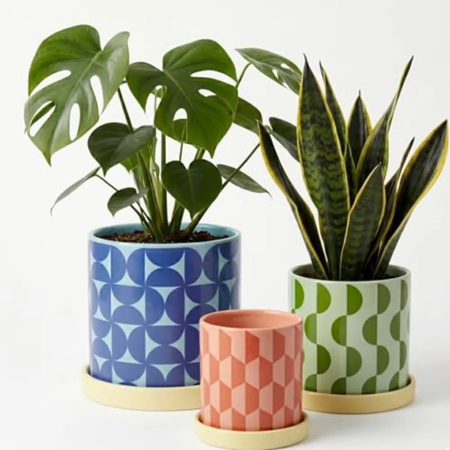 Ceramic Plant Pots for Indoor Plants, Set of 3 Geometric Planters with Drainage Hole and Saucer, Colorful Decorative Flower Pot
Ceramic Plant Pots for Indoor Plants, Set of 3 Geometric Planters with Drainage Hole and Saucer, Colorful Decorative Flower Pot