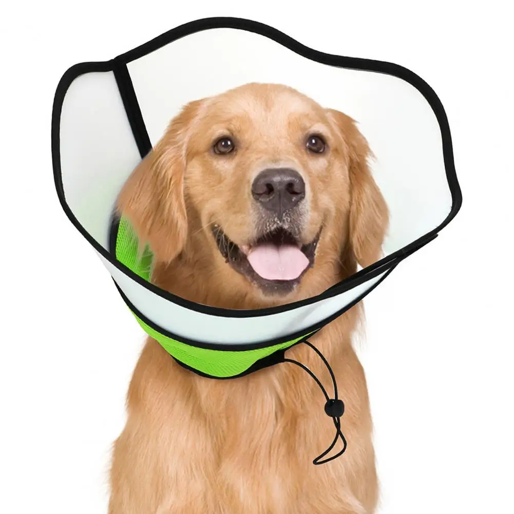Dog Cone Collar Adjustable Fastener Tape Post-Surgery Recovery Dog Cone Collar with Clear Splicing Cover Elizabethan Collars
Dog Cone Collar Adjustable Fastener Tape Post-Surgery Recovery Dog Cone Collar with Clear Splicing Cover Elizabethan Collars