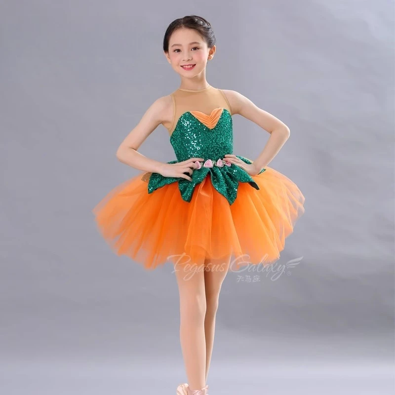 Girl Ballet Tutu Dress Flower Stage Performance Dancewear Children Sequin Stage Shows Dresses Kid Sleeveless Ballet Dance Wear
Girl Ballet Tutu Dress Flower Stage Performance Dancewear Children Sequin Stage Shows Dresses Kid Sleeveless Ballet Dance Wear