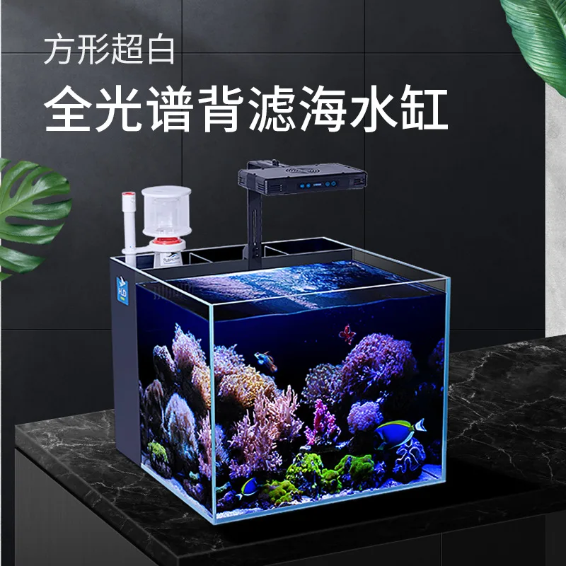 20 Gallon Mini Luxury White Square Aquarium Fresh Water Fish Tank with Living Room Accessories for Home Decoration
20 Gallon Mini Luxury White Square Aquarium Fresh Water Fish Tank with Living Room Accessories for Home Decoration