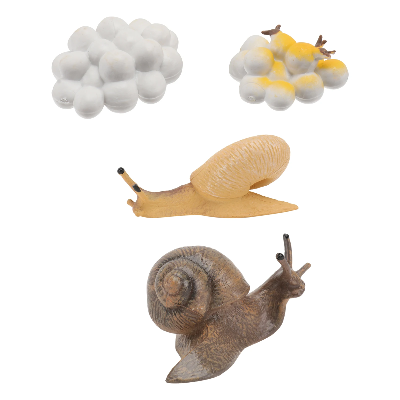 4 Pcs Snails Growth Cycle Figurines Plastic Toys Kids Educational Decor Ornaments Home Garden Shop
4 Pcs Snails Growth Cycle Figurines Plastic Toys Kids Educational Decor Ornaments Home Garden Shop