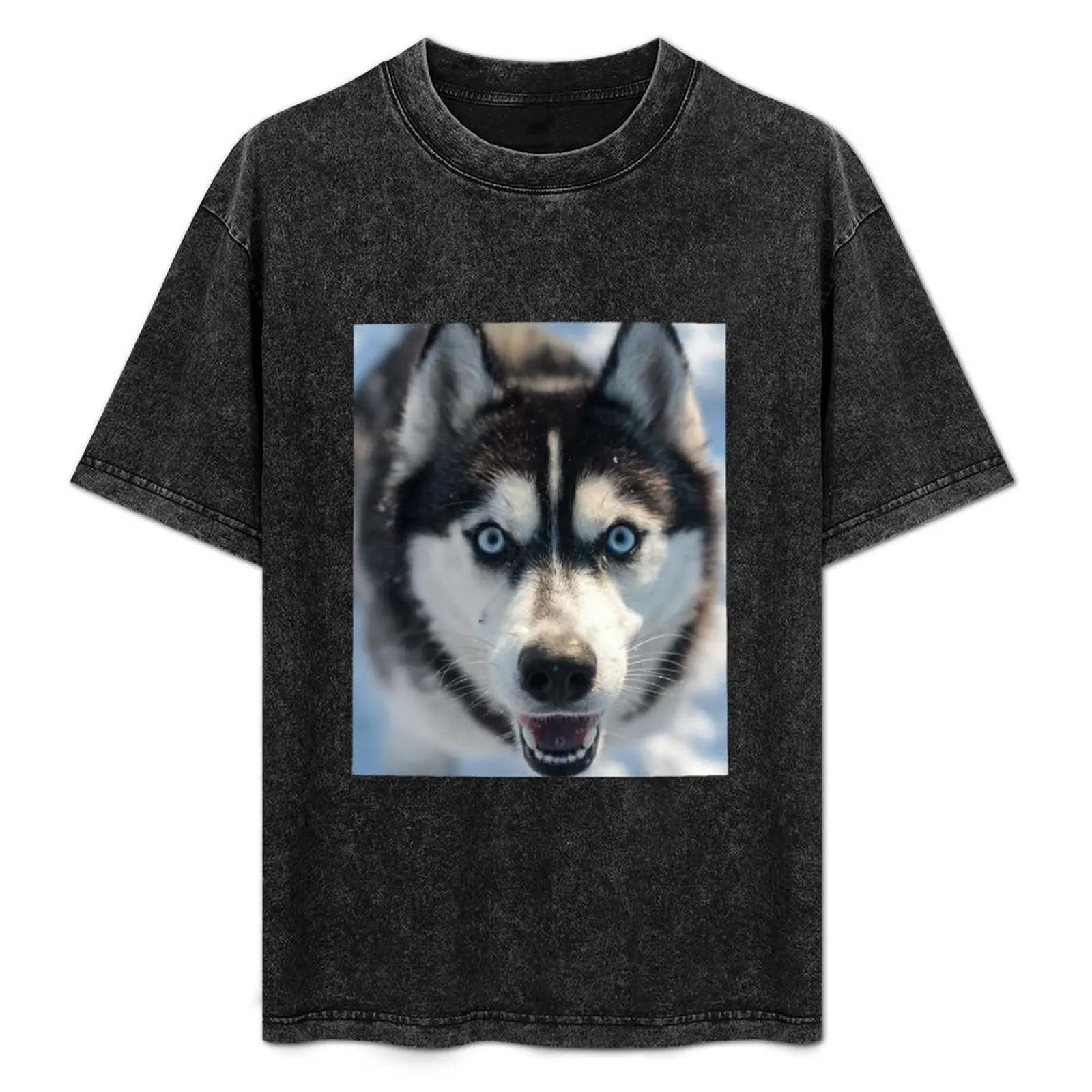 An Excited Siberian Husky T-Shirt Lightweight Cooling Short Sleeve Tee
An Excited Siberian Husky T-Shirt Lightweight Cooling Short Sleeve Tee