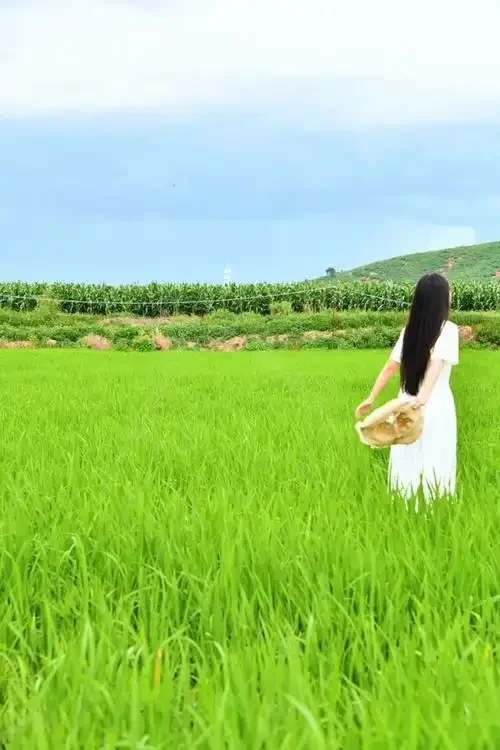 Вал поворотного рычага 144001-1276 для Wltoys 144001 1/14, запасные части для радиоуправляемых автомобилей, аксессуары 
Вал поворотного рычага 144001-1276 для Wltoys 144001 1/14, запасные части для радиоуправляемых автомобилей, аксессуары