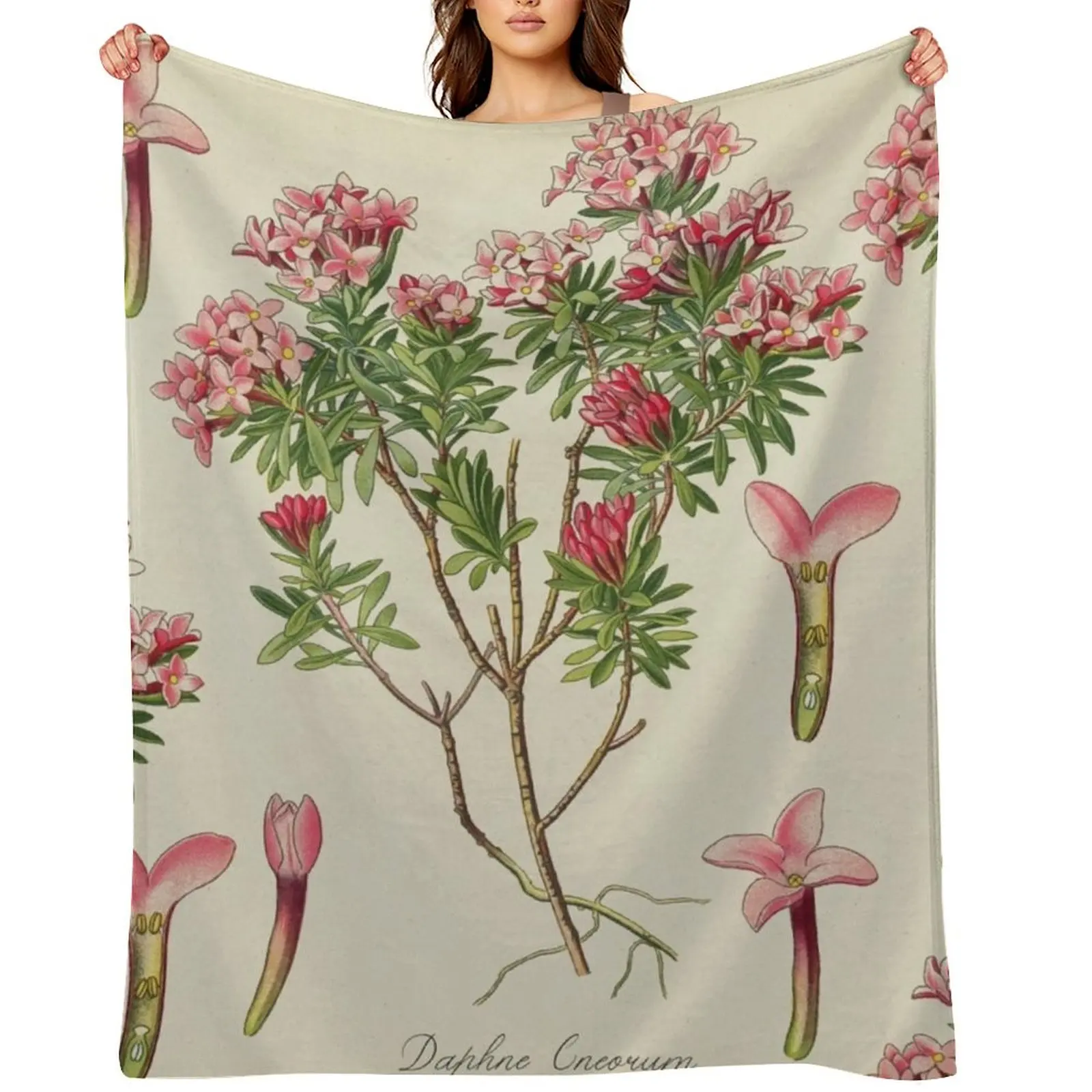 Pink Flowers, Daphne Throw Blanket Luxury Designer For Sofa Thin cosplay anime Decorative Sofas Blankets
Pink Flowers, Daphne Throw Blanket Luxury Designer For Sofa Thin cosplay anime Decorative Sofas Blankets