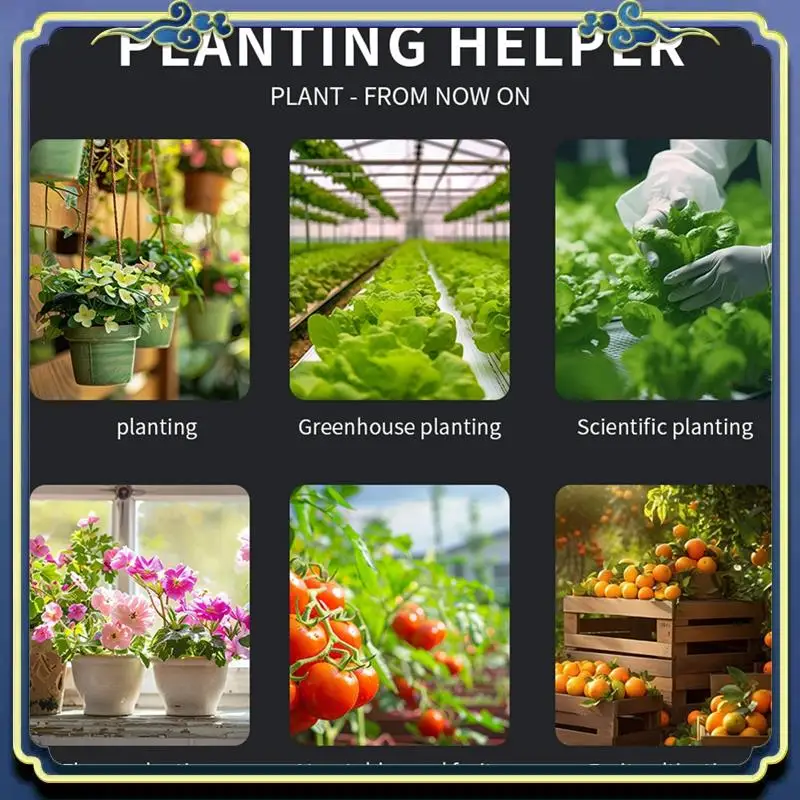 A86P-miernik pH почвы 6-в-1 Многофункциональный цифровой тестер pH почвы Большой экран Цифровой дисплей Тестовое значение PH-метр
A86P-miernik pH почвы 6-в-1 Многофункциональный цифровой тестер pH почвы Большой экран Цифровой дисплей Тестовое значение PH-метр