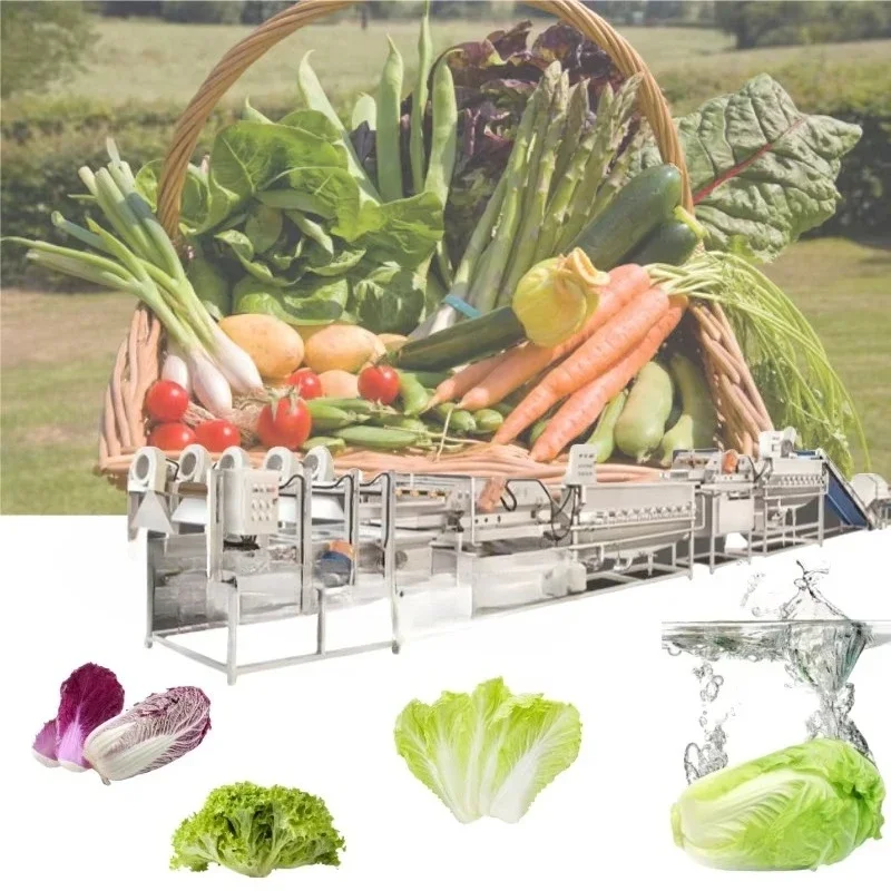 Fruit and vegetable cleaning Green leafy vegetables and rhizomes, vegetable cleaning line Whole production line
Fruit and vegetable cleaning Green leafy vegetables and rhizomes, vegetable cleaning line Whole production line