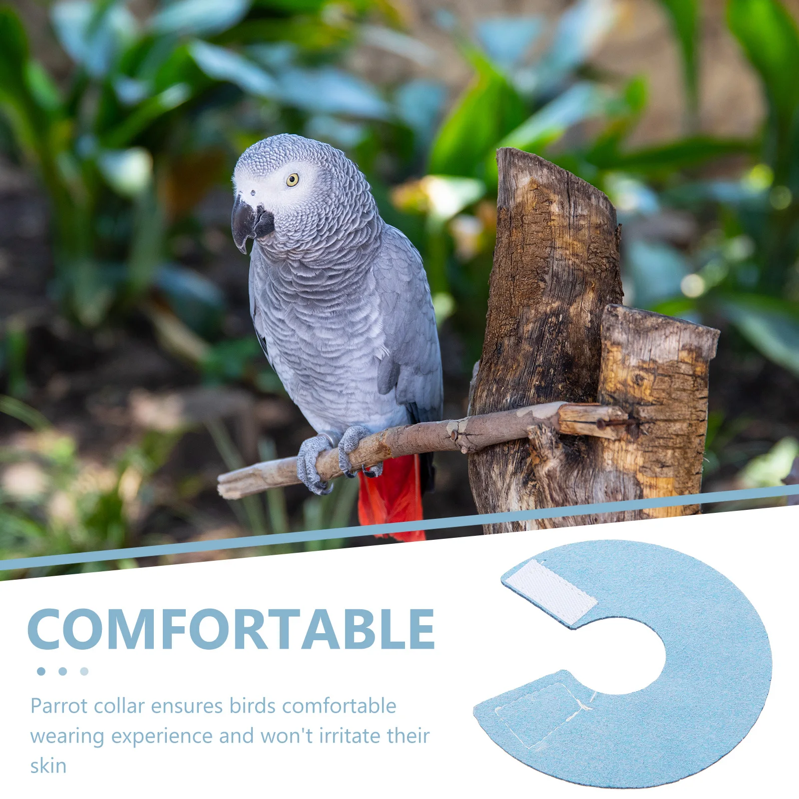 Parrot Neck Band S Size Microfiber Anti-Bite Bird Collar Comprehensive Protection Bird Decors Pet Supply
Parrot Neck Band S Size Microfiber Anti-Bite Bird Collar Comprehensive Protection Bird Decors Pet Supply