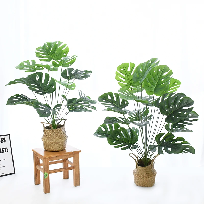 Artificial Plants Green Turtle Leaves for Wedding Party Home Decoration Living Room Office Garden Outdoor Artificial Grass Plant 
Artificial Plants Green Turtle Leaves for Wedding Party Home Decoration Living Room Office Garden Outdoor Artificial Grass Plant