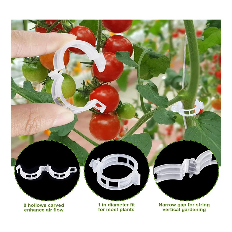 A21Q -40Pcs Tomato Hooks With String, Tomato Support Hooks, Tomato Holder Hooks & Plant Support Clips With 33.3Ft Twine
A21Q -40Pcs Tomato Hooks With String, Tomato Support Hooks, Tomato Holder Hooks & Plant Support Clips With 33.3Ft Twine