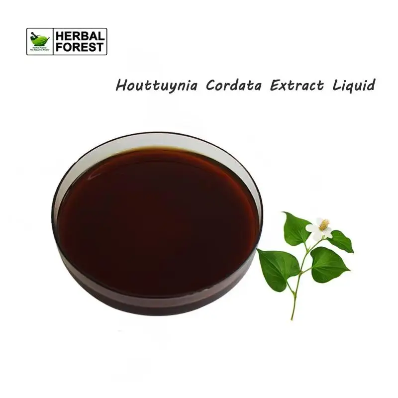 Natural Houttuynia Cordata Extract Liquid Antibacterial Anti-aging Moisturizing Acne Removing Skin Care Additive
Natural Houttuynia Cordata Extract Liquid Antibacterial Anti-aging Moisturizing Acne Removing Skin Care Additive