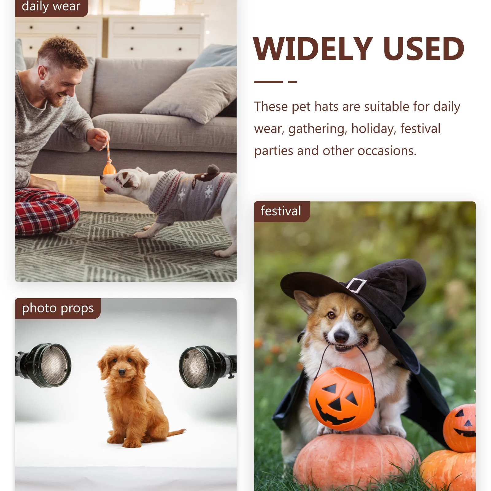 Pet Jewelry Collar Dog Accessories Halloween Costumes Modeling Cat Cute Kitten Collars
Pet Jewelry Collar Dog Accessories Halloween Costumes Modeling Cat Cute Kitten Collars