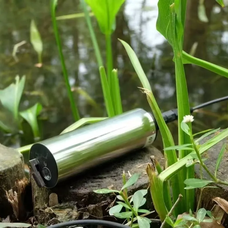 Высококачественный онлайн-датчик PAH для тестирования морской воды, нержавеющая сталь, OEM, настраиваемый выход RS-485, диапазон 0-1100ppb, 5%FS
Высококачественный онлайн-датчик PAH для тестирования морской воды, нержавеющая сталь, OEM, настраиваемый выход RS-485, диапазон 0-1100ppb, 5%FS