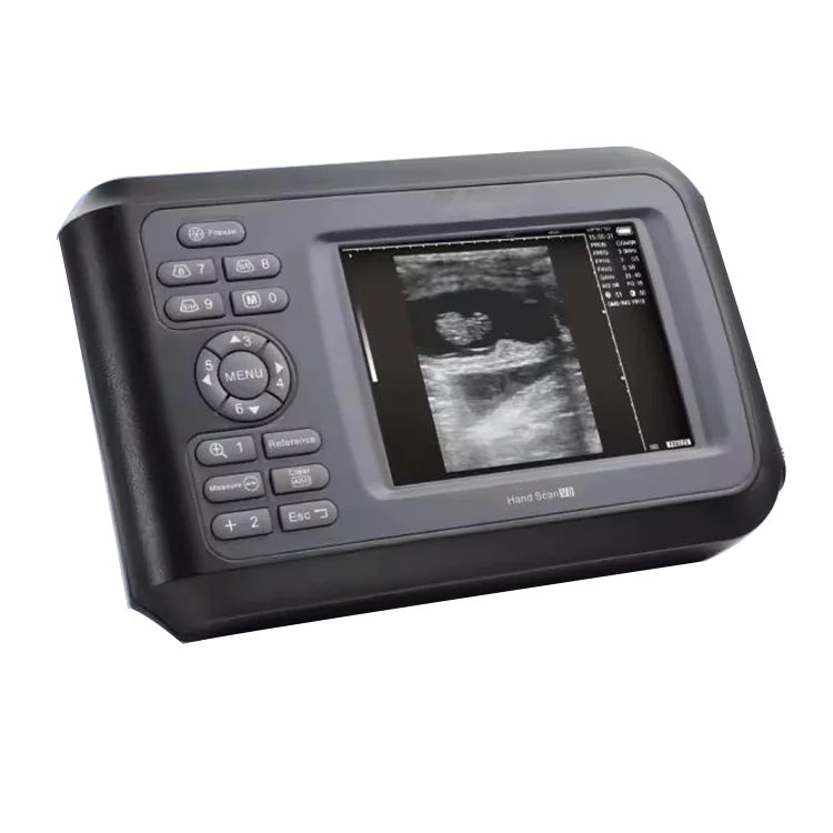 Veterinary Ultrasound for Equine With Rectal Probe