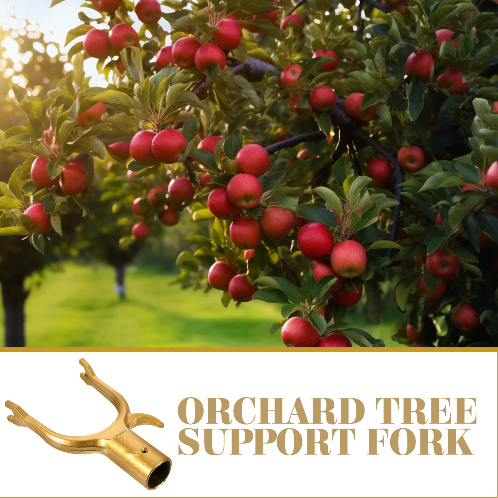 8pcs Tree Branch Support Fork Plant Stakes Bonsai Trainer Tools Durable Universal Vineyard Garden Fruit Vegetable Clips
8pcs Tree Branch Support Fork Plant Stakes Bonsai Trainer Tools Durable Universal Vineyard Garden Fruit Vegetable Clips