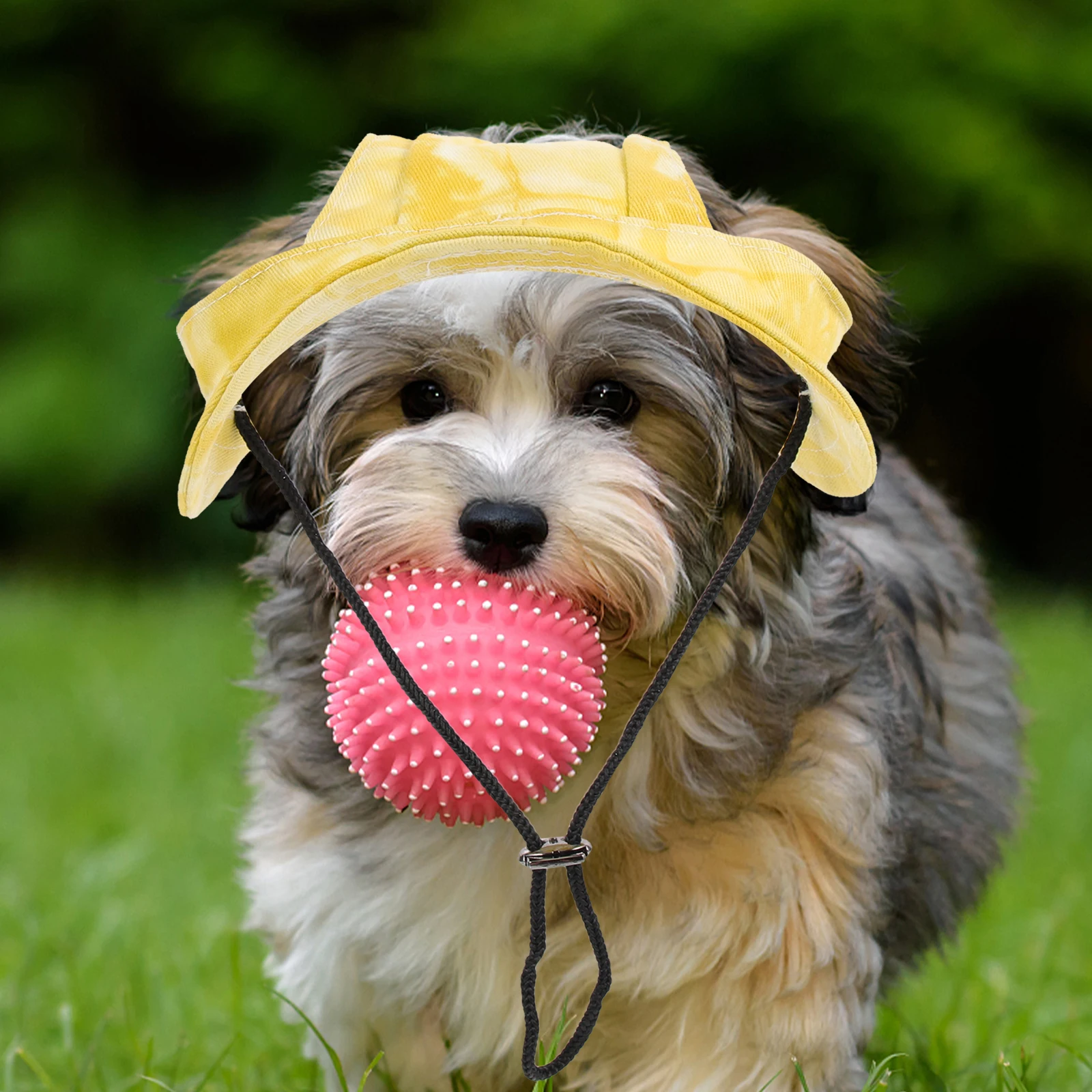 Pet Baseball Cap Puppy Hats Small Dogs Bucket for Summer Medium Adjustable Sun Large
Pet Baseball Cap Puppy Hats Small Dogs Bucket for Summer Medium Adjustable Sun Large