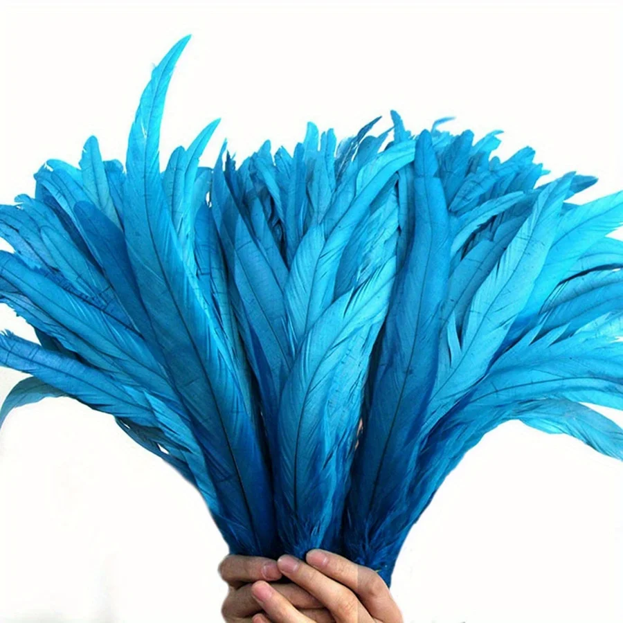 Lake Blue 50pcs Rooster Tail Feathers for DIY Crafts Carnival Clothing Costume Accessories Decor Supplies Feathers
Lake Blue 50pcs Rooster Tail Feathers for DIY Crafts Carnival Clothing Costume Accessories Decor Supplies Feathers