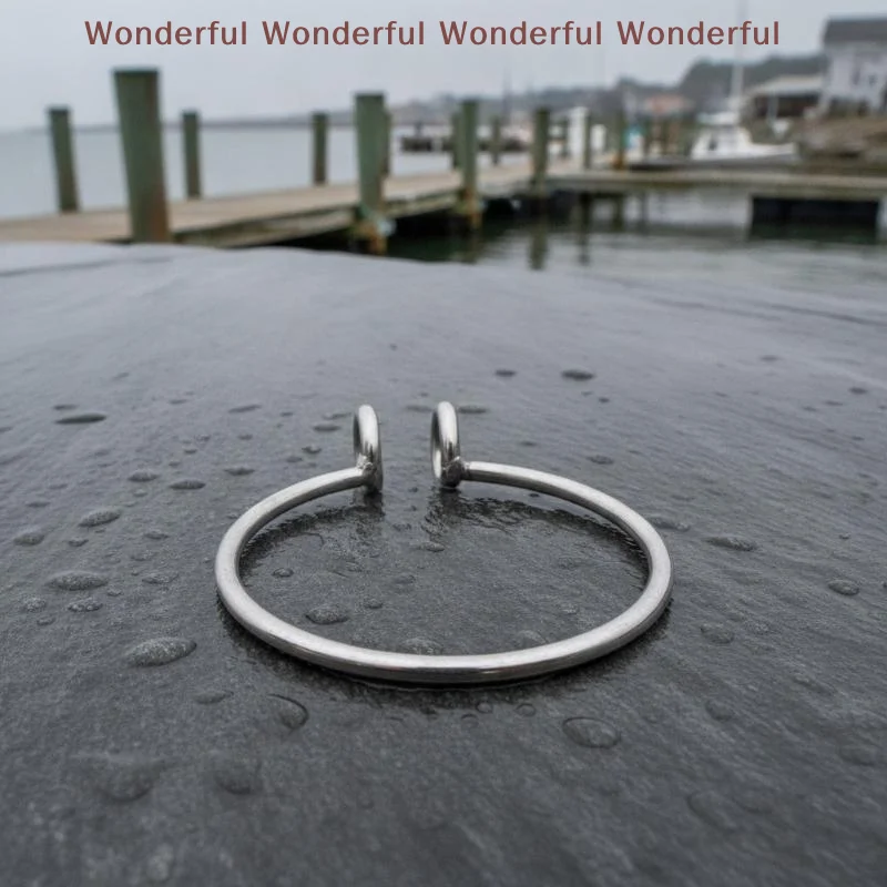 8mm Universal Fit Marine Anchor Retrieval Ring Labor-saving Anchor Ring for Most Boat Yacht Fishing Activities
8mm Universal Fit Marine Anchor Retrieval Ring Labor-saving Anchor Ring for Most Boat Yacht Fishing Activities