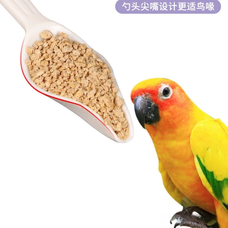 Parrot BB Feeding Spoon Feedings Device Hand Feeding Bags Fairy Brothers Chickens Young Birds Milk Powder Feeding Spoon Plastic
Parrot BB Feeding Spoon Feedings Device Hand Feeding Bags Fairy Brothers Chickens Young Birds Milk Powder Feeding Spoon Plastic