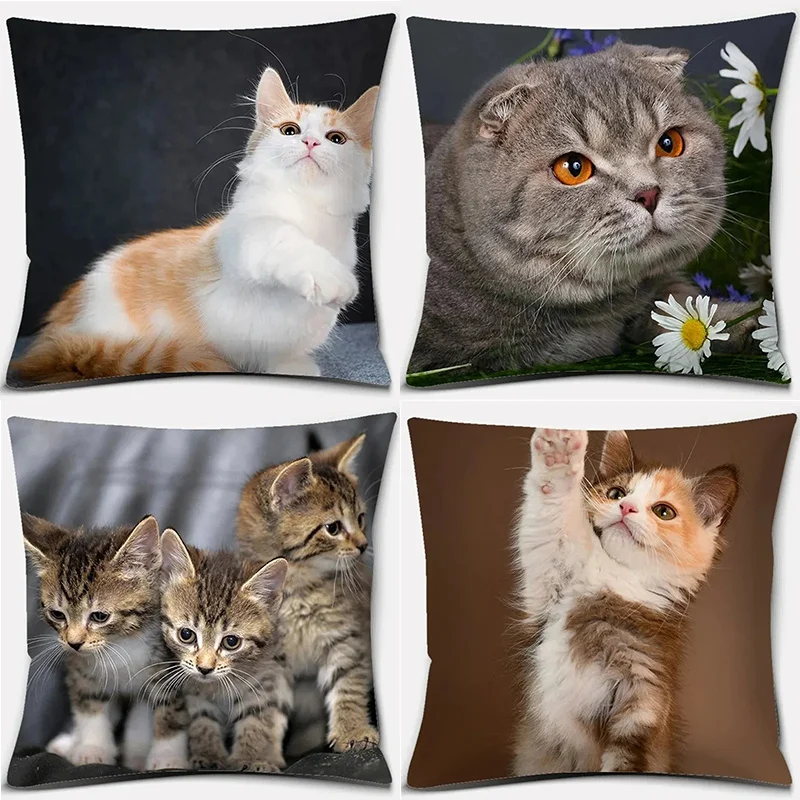 Home Decor Cute Kitten Print Comfortable Pattern Cushion Covers For Sofa Bedroom Car Pillow Covers
Home Decor Cute Kitten Print Comfortable Pattern Cushion Covers For Sofa Bedroom Car Pillow Covers