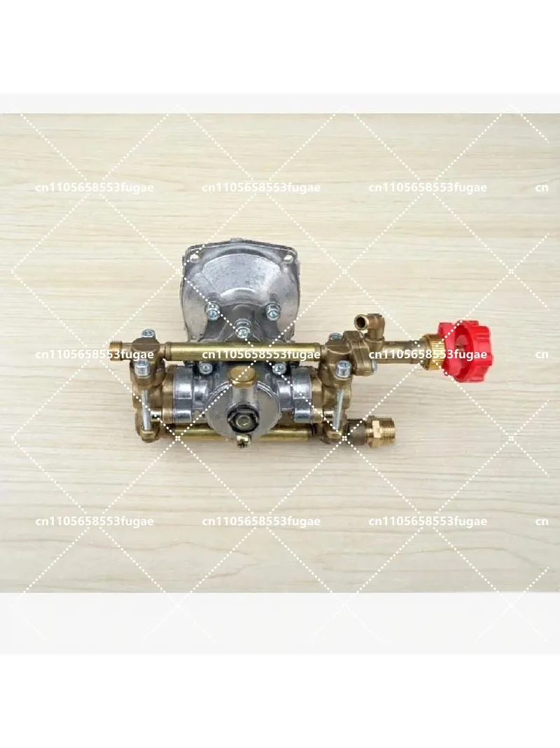 18-Type Direct Connection Water Pump Plunger Sprayer for Lawn Mower Agricultural Use
18-Type Direct Connection Water Pump Plunger Sprayer for Lawn Mower Agricultural Use